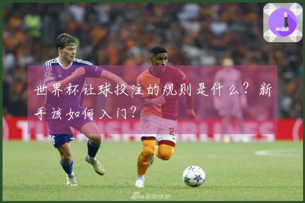 世界杯让球投注的规则是什么？新手该如何入门？