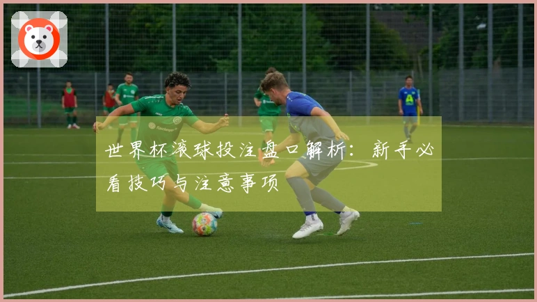 世界杯滚球投注盘口解析：新手必看技巧与注意事项