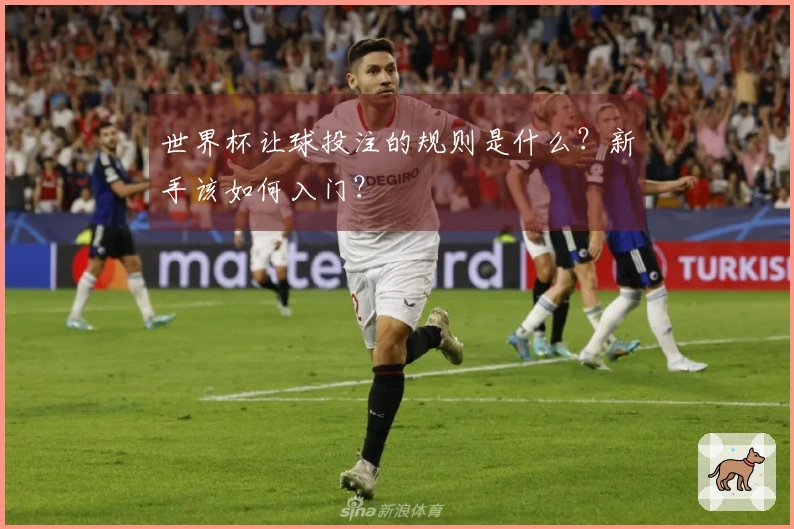 世界杯让球投注的规则是什么？新手该如何入门？