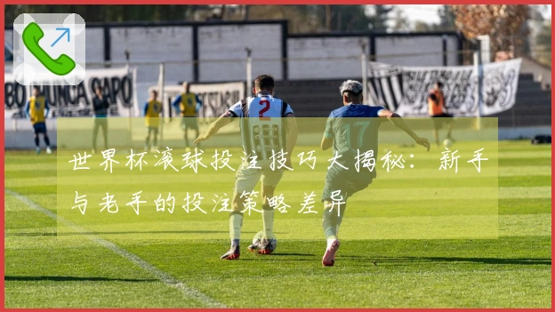 世界杯滚球投注技巧大揭秘：新手与老手的投注策略差异