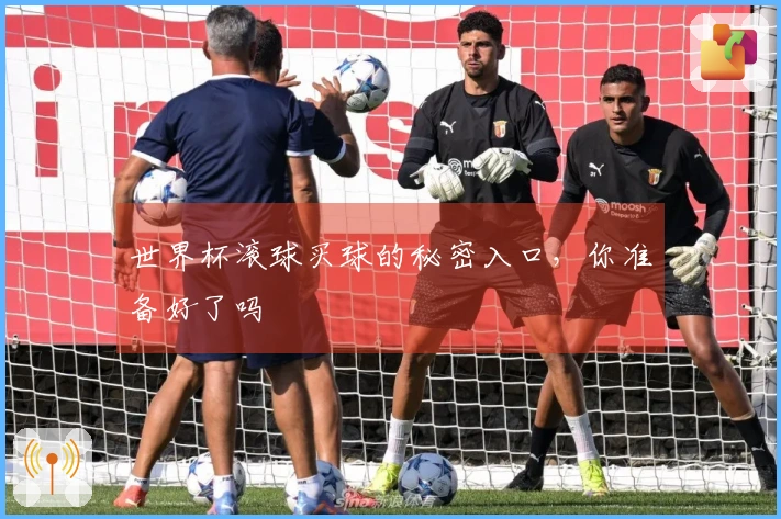 世界杯滚球买球的秘密入口，你准备好了吗